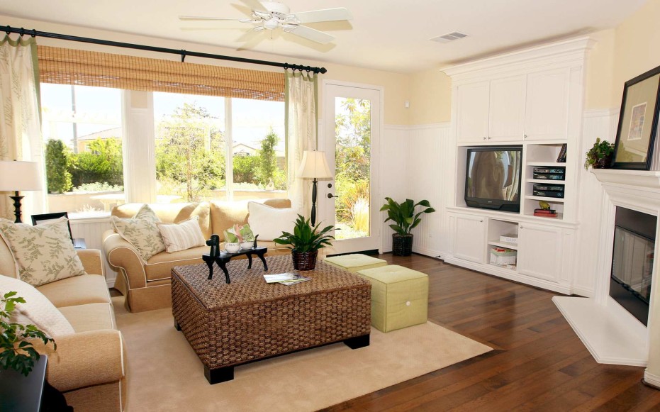 Living Room Interior Ideas Pic