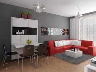 Modern small apartment interior design 033