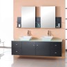 virtu-amd-clarissa-double-sink-bathroom-idea-vanity