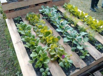 Wood pallet raised bed garden project