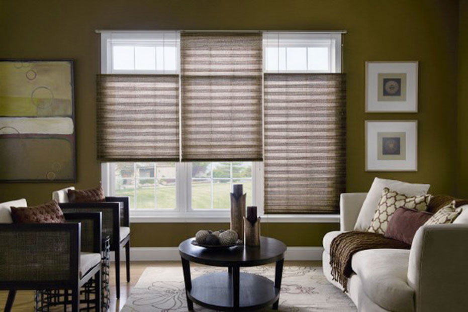 graber hunter douglas pleated shades images