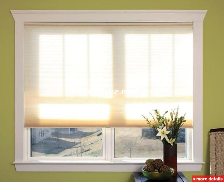 Cordless Pleated Shades Blinds