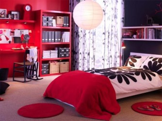 Room Decorating Ideas For A College Girl