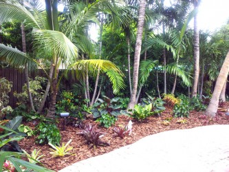 Backyard Makeover Tropical Landscape