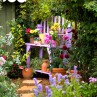 Beautiful garden ideas cottage garden
