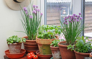 Gorgeous Window Herb Garden Product Ideas