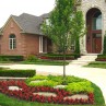 Lovely front yard landscaping Product Lineup
