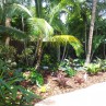 Lovely  landscaping ideas  Picture Collection