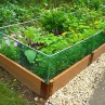 Raised Garden Bed Rabbit Fence