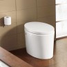 Small Toilet With Wall Color Brown Product Ideas