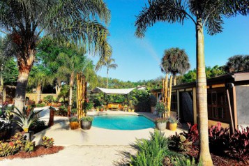 Tropical Backyard With Pool And Palm Trees