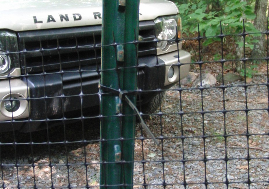 Wonderful Dog Electric Fence Image Collection