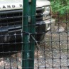 Wonderful dog electric fence Image Collection