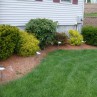 backyard landscaping pictures