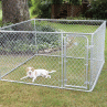 electric dog fence  Photo Collection