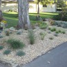 front yard landscaping with rocks
