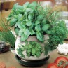 herb garden indoor  Product Picture