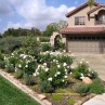 landscaping ideas for small yards Pretty