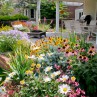 perennial garden design ideas